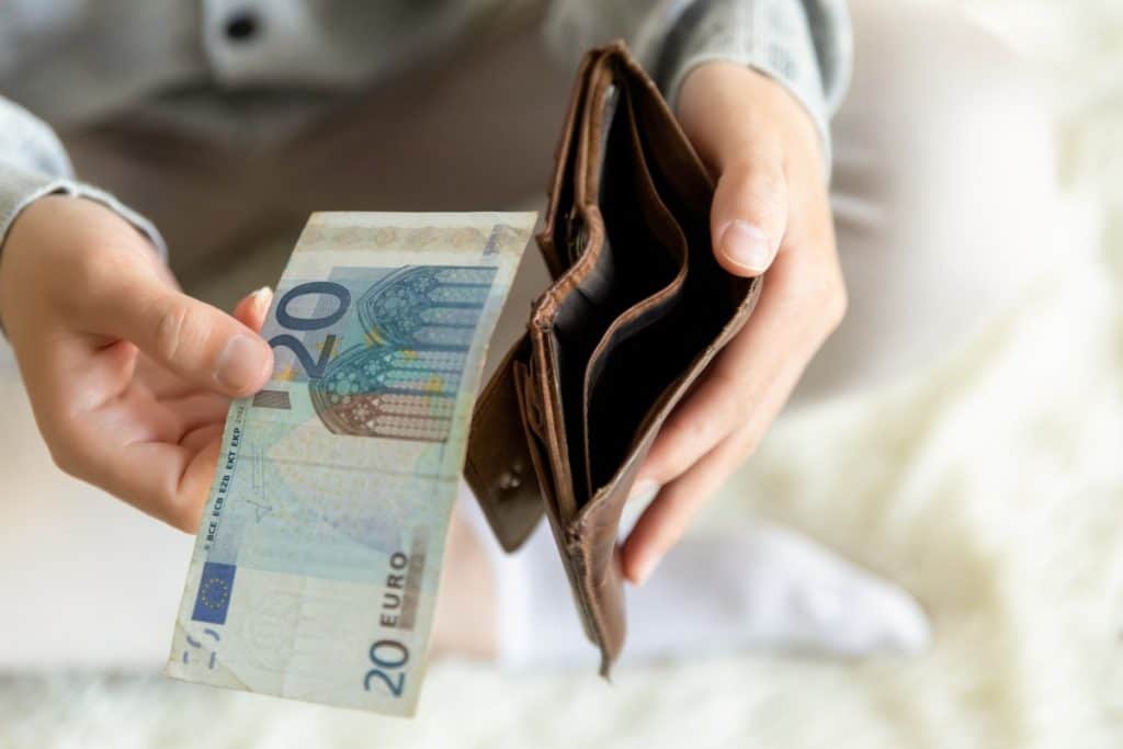 Vpliv svetovnih trgov na lokalne investicije Vpliv svetovnih trgov na lokalne investicije